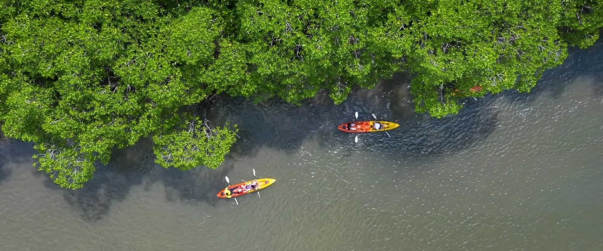 Top Mangrove Kayaking in Udupi